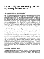 Cú sốc xăng dầu ảnh hưởng đến các thị trường như thế nào.doc