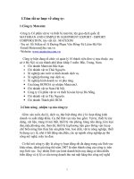 marketing xuất nhập khẩu tại Công ty Matexim.doc