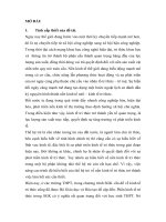 Kinh tế tri thức và việc dạy và học vấn đề này ở trường THPT hiện nay.doc