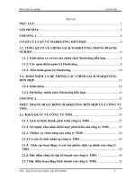 Một số giải pháp nhằm hoàn thiện chính sách Marketing hỗn hợp của công ty cổ phần đầu tư và phát triển dịch vụ hạ tầng viễn thông (TDIS)