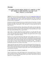 Tác động ngoài mong muốn của thuốc lá tới sức khỏe và môi trường tại Việt Nam - Thực trạng và giải pháp