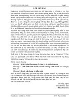 Phân tích tình hình kinh doanh và ứng dụng TMDT tại công ty Tầm Cao.doc