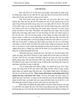 Thực trạng, định hướng và giải pháp phát triển ngành dệt may xuất khẩu Việt Nam.doc