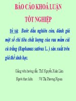 Bước đầu nghiên cứu, đánh giá một số chỉ tiêu chất lượng của rau mầm cải củ trắng (Raphanus Sativus L.) sản xuất trên giá thể sinh học