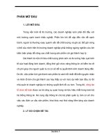 Kế toán nguyên liệu, vật liệu “tại Chi nhánh Công ty Cổ phần VINACONEX Sài Gòn.doc