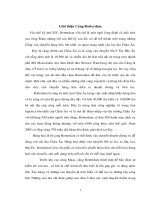 Các biện pháp của công ty vận tải ngọai thương giúp đỡ các doanh nghiệp việt nam, hỗ trợ chuyển đổi áp dụng các điều kiện incoterms có hiệu quả.doc