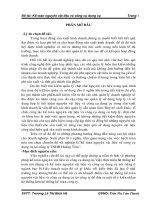 Kế toán nguyên vật liệu và công cụ dụng cụ tại công ty tnhh hoàng tâm.doc