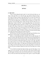 Mô hình kinh doanh theo mạng MLM.doc