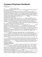 Company Employee Handbook