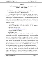 Kế toán nguyên vật liệu và công cụ dụng cụ tại Công ty tnhh thương mại - dịch vụ hưng thông.doc