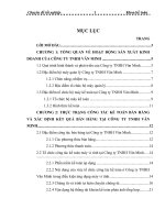 Tổ chức hạch toán kế toán bán hàng và xác định kết quả kinh doanh tại Công ty TNHH Văn Minh.docx