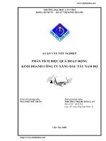 Phân tích hiệu quả hoạt động kinh doanh công ty xăng dầu Tây Nam Bộ.pdf