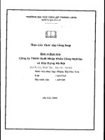 Báo cáo thực tập tại Công ty TNHH Xuất nhập khẩu công nghiệp và Xây dựng Hà nội.PDF