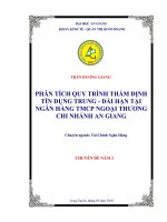 Phân tích quy trình thẩm định tín dụng trung – dài hạn tại Ngân hàng thương mại cổ phần ngoại thương Việt Nam chi nhánh An Giang.DOC