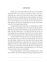 Giải pháp đẩy mạnh tiêu thụ sản phẩm của Công ty TNHH Nhà nước 1 thành viên cơ khí Hà Nội.DOC