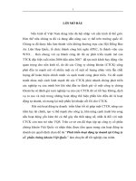 Phát triển hoạt động tự doanh tại Công ty cổ phần chứng khoán Việt Quốc..DOC