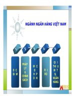 Triển vọng phát triển ngành ngân hàng Việt Nam đến 2010.pdf