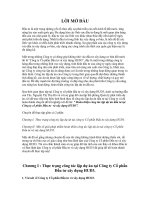 Hoàn thiện công tác lập dự án đầu tư tại Công ty cổ phần Đầu tư và xây dựng HUD3.doc