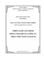Chiến lược sản phẩm dòng tấm lợp của công ty TNHH Nhựa Việt Nam Á (NAACO) tại Việt Nam giai đoạn 2008-2010
