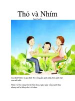  Thỏ và Nhím 