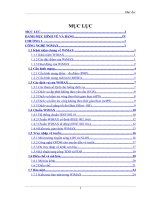  Mô hình hóa mạng Wimax cố định