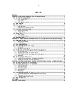 Neuron Network - Ứng dụng mạng neuron truyền thẳng trong dự báo dữ liệu