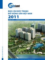 Báo cáo bức tranh bất động sản việt nam 2011 -- phòng phân tích cafeland