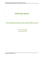 The Marketing Strategy of Ha Anh INCOSE Co.,Ltd.doc