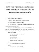 Phân tích thực trạng xuất khẩu hàng may mặc vào thị trường mỹ tại công ty may việt tiến.doc