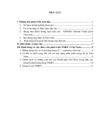 thực trạng ứng dụng và phát triển thương mại điện tử ở Việt Nam