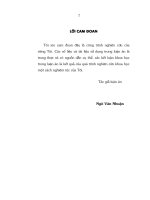 Phương hướng và giải pháp hoàn thiện mô hình tổ chức và cơ chế hoạt động của KTNN Việt Nam.pdf