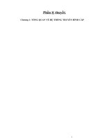  Truyền hình cáp và hệ thống truyền hình cáp ở Việt Nam