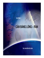 Cân bằng lỏng - rắn 