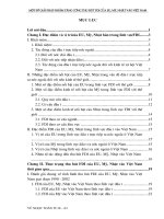 MỤC LỤC Một số giải pháp nhằm tăng cường thu hút vốn đầu tư nước ngoài của eu, mỹ, nhật vào việt nam.doc
