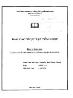 Báo cáo thực tập tại công ty cổ phần Dịch vụ Nông nghiệp Hòa Bình.PDF