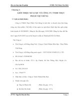 Kế toán doanh thu và xác định kết quả hoạt động kinh doanh tại công ty TNHH Thực phẩm Việt Hùng.doc