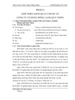 Phân tích tình hình hoạt động sản xuất kinh doanh của công ty cổ phần đông lạnh quy nhơn.doc