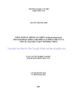 nuôi ấu trùng cua biển (Scylla paramamosain) 2 giai đoạn (ZOEA-1 đến ZOEA-5 và ZOEA-5 đến CUA-1) với các mật độ và quy mô khác nhau