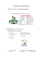 kế hoạch marketing cho công ty cổ phần traphaco