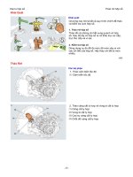 Quy trình đại tu hộp số 2 - P2