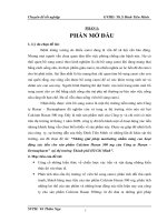 Những giải pháp marketing nhằm nâng cao hoạt động xúc tiến cho sản phẩm Calcium Hasan 500 mg của Công ty Hasan - Dermapharm” tại thị trường Thành phố Hồ Chí Minh.pdf
