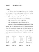 Lý thuyết điện hóa - P1