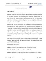 Đánh giá hoạt động tín dụng xuất khẩu của các ngân hàng thương mại cổ phần tại TP HCM.pdf