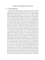 Phân tích tình hình tiêu thụ sữa Vinamilk trong giai đoạn 2006 – 2009.DOC