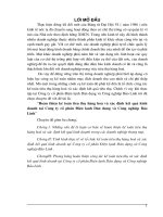 Hoàn thiện kế toán tiêu thụ hàng hoá và xác định kết quả kinh doanh tại Công ty CP Điện lạnh Dân dụng và Công nghiệp Bảo Linh.DOC