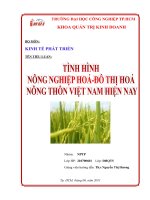 Tình hình nông nghiệp hóa - đô thị hóa nông thôn Việt Nam hiện nay.pdf