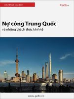Nợ công Trung Quốc và những thách thức kinh tế.pdf