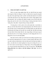 Tổ chức lưu thông phân bón vô cơ theo cơ chế thị trường ở Việt Nam.DOC