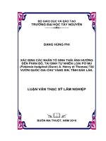 Xác định các nhân tố sinh thái ảnh hưởng đến phân bố, tái sinh tự nhiên loài Pơ mu tại vườn quốc gia Chưyangsin, tỉnh Đắc lắc