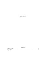 Kế toán bán hàng và xác định kết quả kinh doanh tại TNHH Hoàng Phúc - Hải Dương.doc